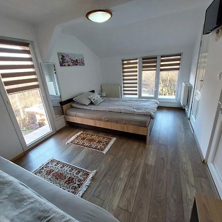 Cabana Casa Lu'Baciu Arpaşu de Sus Buitenkant foto