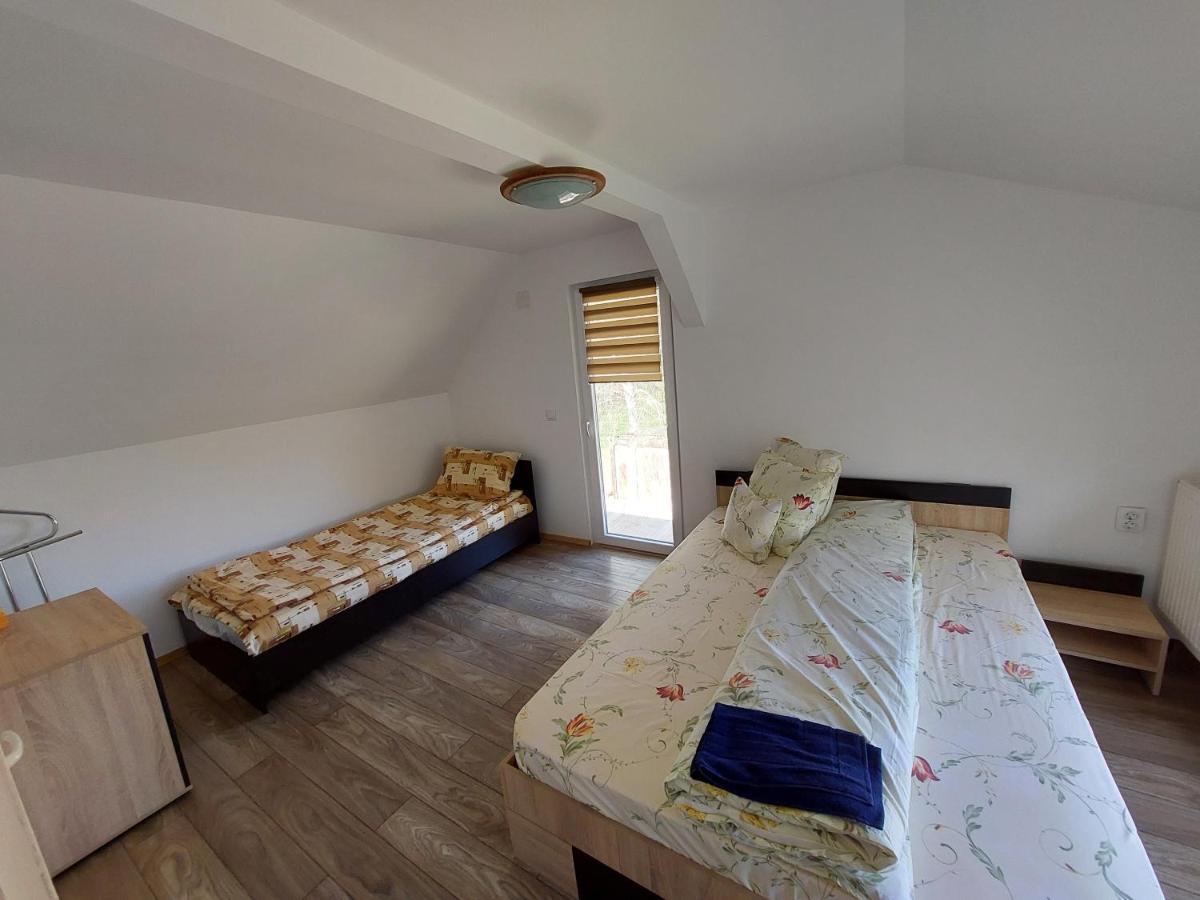 Cabana Casa Lu'Baciu Arpaşu de Sus Buitenkant foto