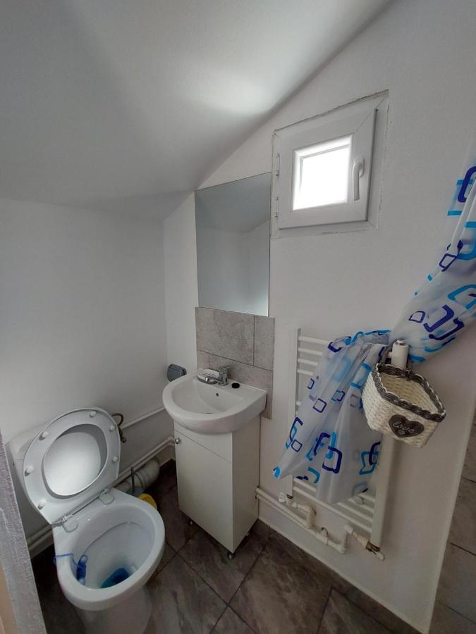 Cabana Casa Lu'Baciu Arpaşu de Sus Buitenkant foto