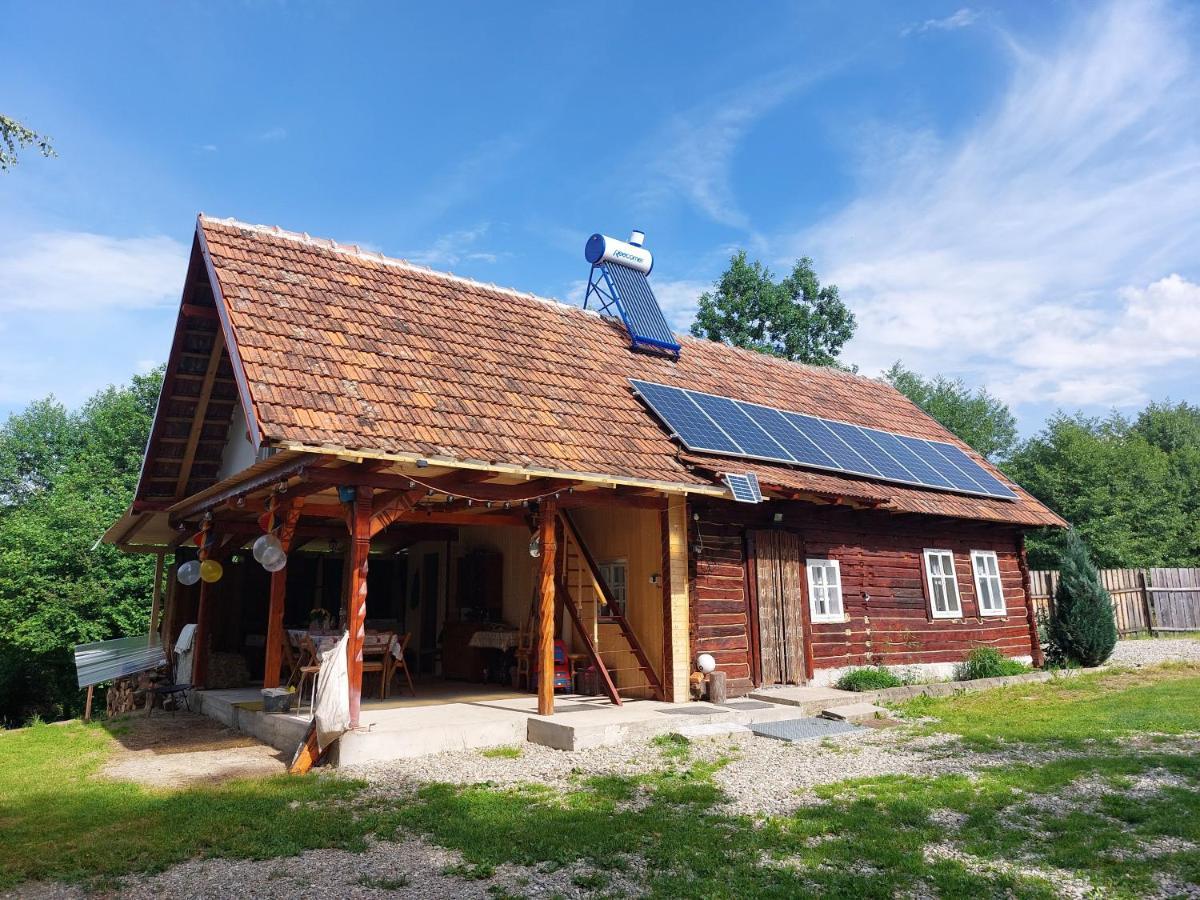 Cabana Casa Lu'Baciu Arpaşu de Sus Buitenkant foto