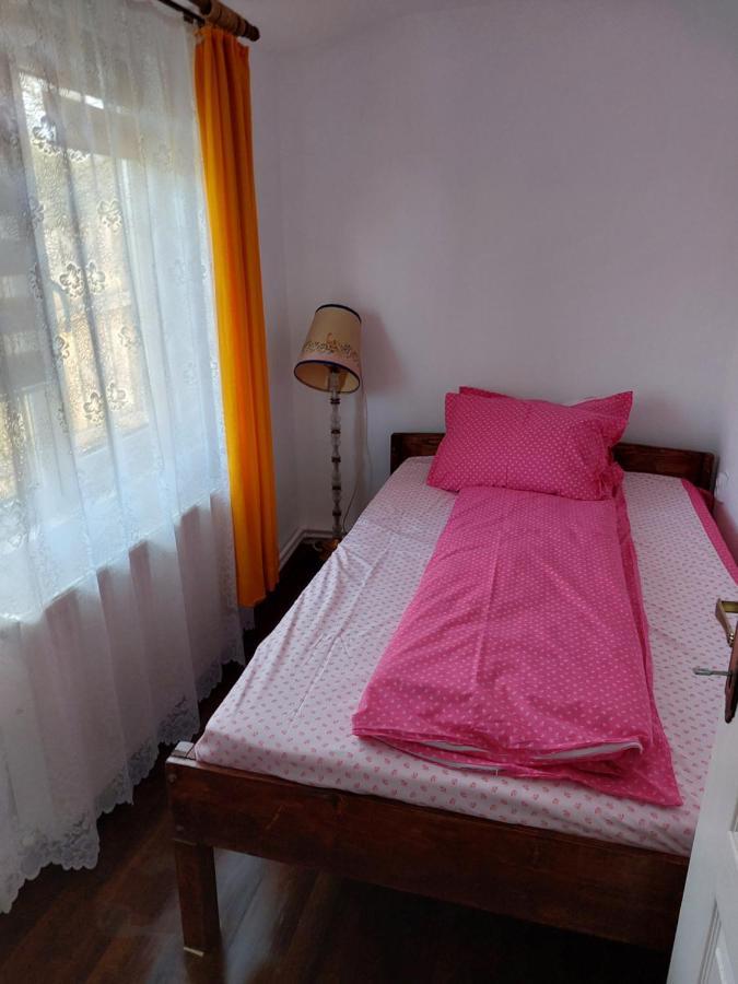 Cabana Casa Lu'Baciu Arpaşu de Sus Buitenkant foto