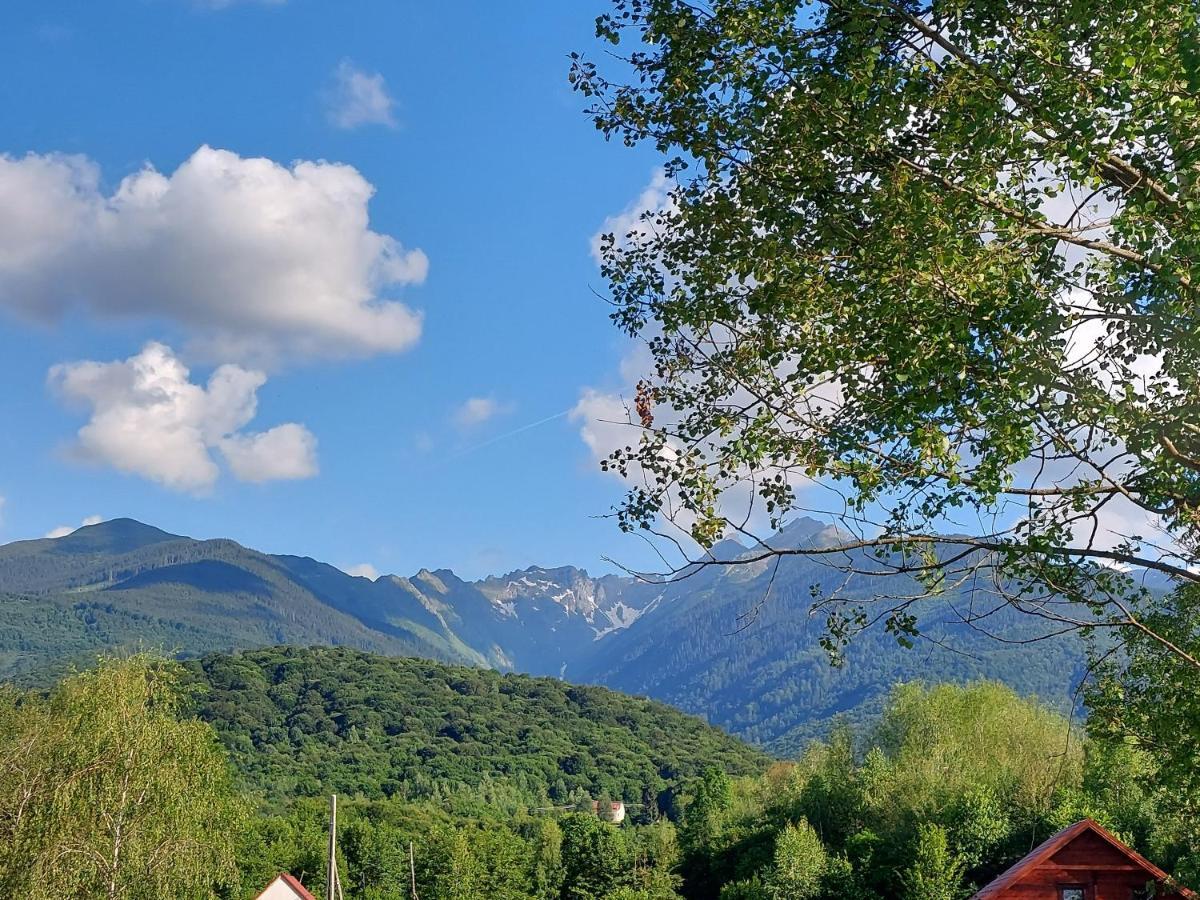 Cabana Casa Lu'Baciu Arpaşu de Sus Buitenkant foto