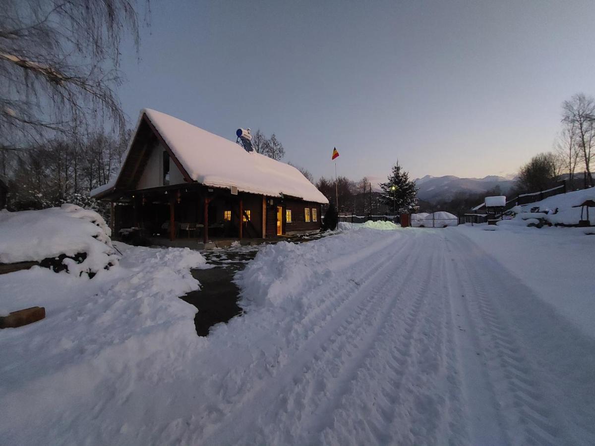 Cabana Casa Lu'Baciu Arpaşu de Sus Buitenkant foto
