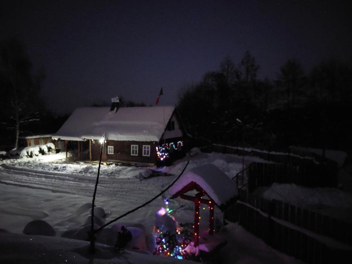 Cabana Casa Lu'Baciu Arpaşu de Sus Buitenkant foto