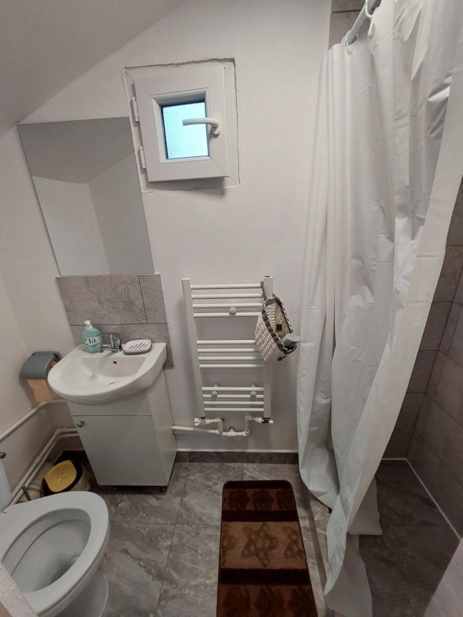 Cabana Casa Lu'Baciu Arpaşu de Sus Buitenkant foto