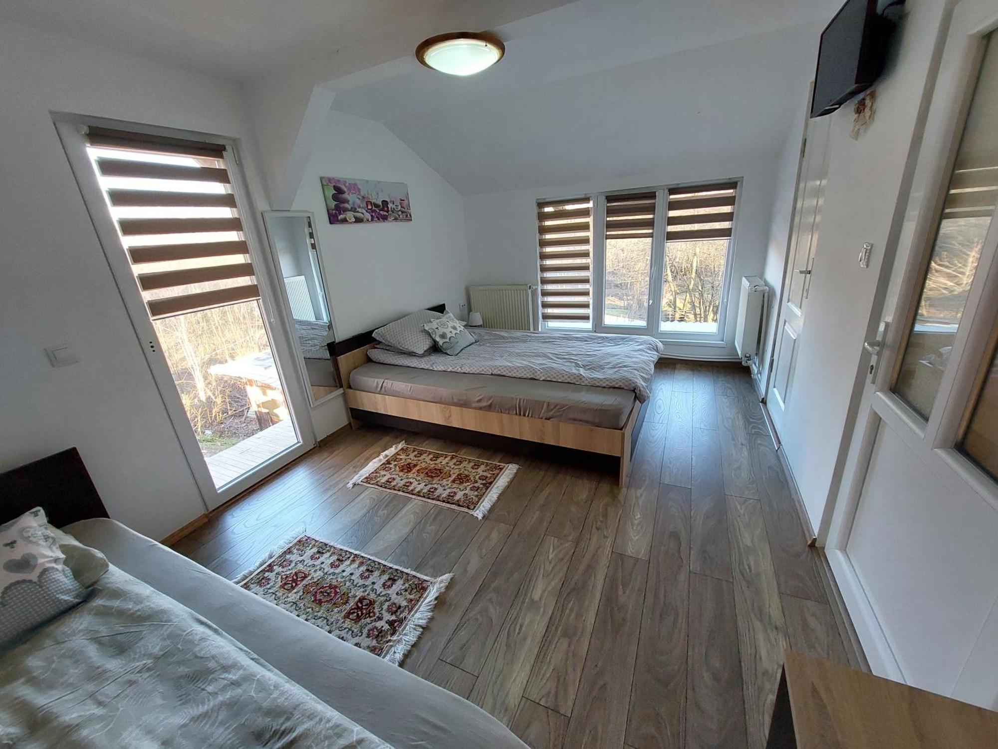 Cabana Casa Lu'Baciu Arpaşu de Sus Buitenkant foto