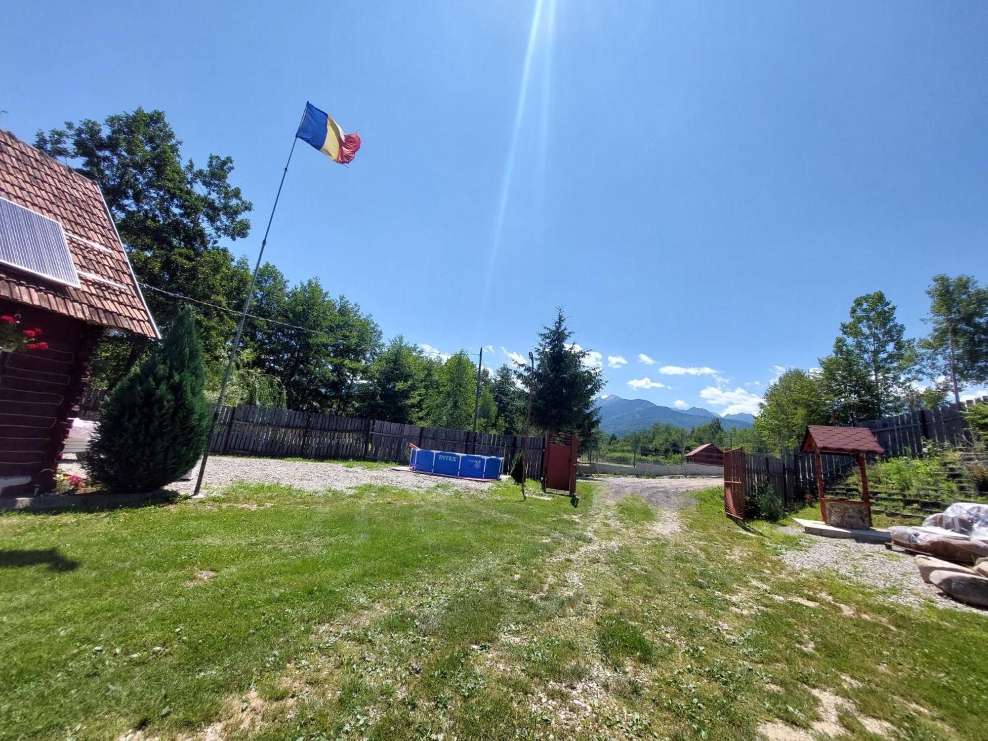 Cabana Casa Lu'Baciu Arpaşu de Sus Buitenkant foto